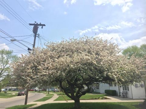 224 Circle Dr, Mason, OH 45040 photo 19