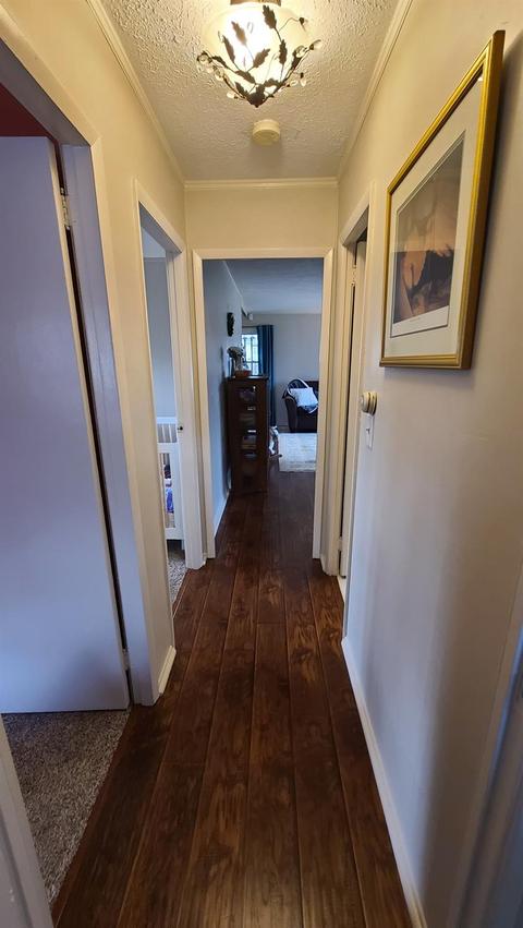 224 Circle Dr, Mason, OH 45040 photo 17