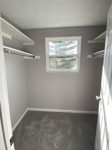 2967 Kimberly Dr, Maineville, OH 45039 photo 16