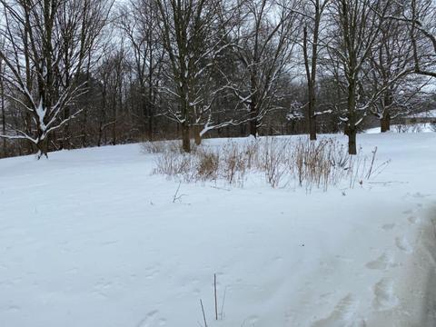 838 Center St, Blanchester, OH 45107 photo 16
