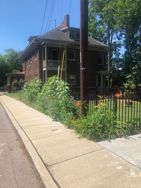 568 Howell Ave #570, Cincinnati, OH 45220 photo 24