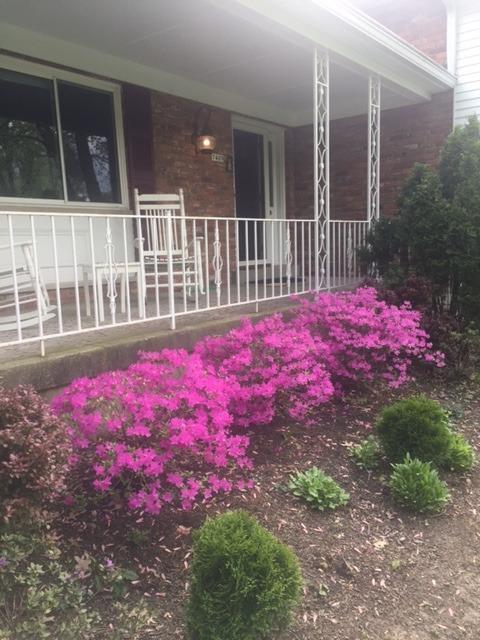 7409 Baywind Dr, Montgomery, OH 45242 photo 34