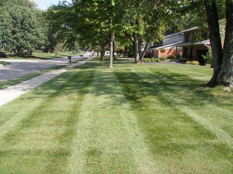 7409 Baywind Dr, Montgomery, OH 45242 photo 33