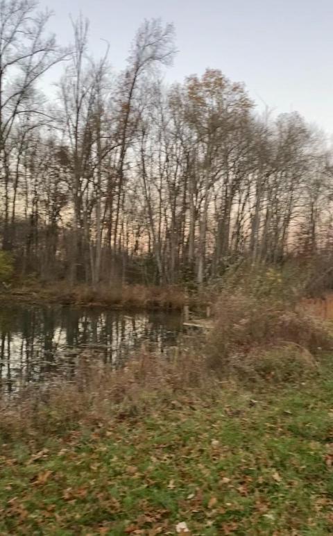 3210 Jordan Rd, Pleasant Plain, OH 45162 photo 6