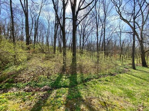 9504 Newgate Ln, Cincinnati, OH 45231 photo 37