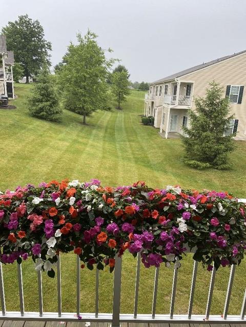 950 Crossing Pointe, Cincinnati, OH 45231 photo 27