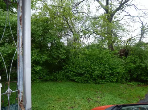 1554 Summit Rd, Cincinnati, OH 45237 photo 27
