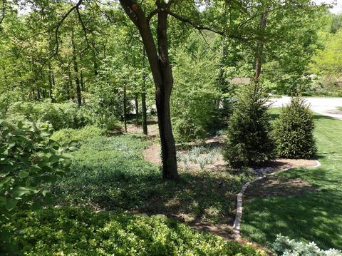 8666 Hollyhock Dr, Cincinnati, OH 45231 photo 4