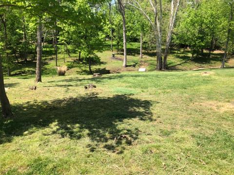 2387 Devils Backbone Rd, Cincinnati, OH 45233 photo 21
