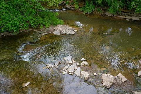 1575 Covered Bridge Rd, Cincinnati, OH 45231 photo 21