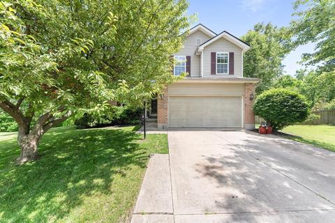 16 Eagle Ct, Amelia, OH 45102 photo 30
