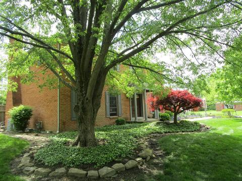 5911 Trowbridge Dr, Cincinnati, OH 45241 photo 12