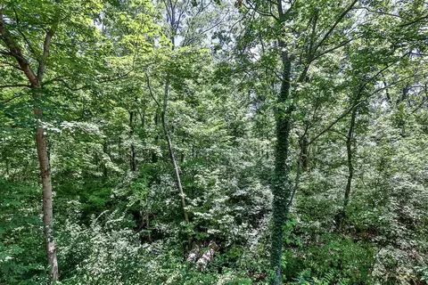 993 Walnut Ct, Mason, OH 45040 photo 21