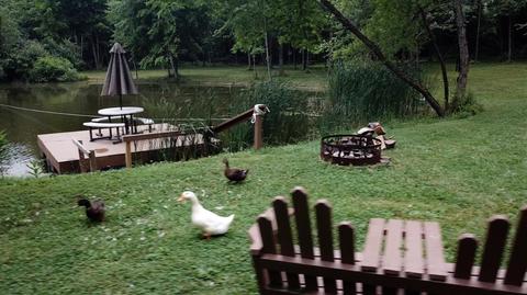 2247 Moore Saur Rd, Morrow, OH 45152 photo 7