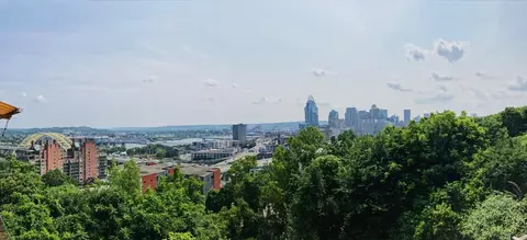 897 Riverview Pl, Cincinnati, OH 45202 photo 16