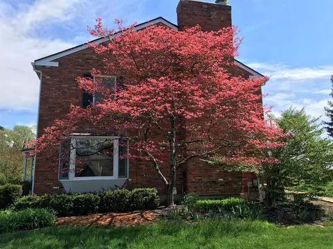 7519 Ayers Rd, Cincinnati, OH 45255 photo 18