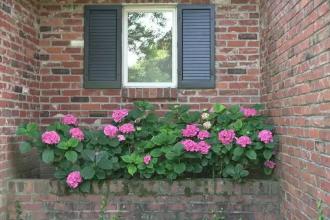 7519 Ayers Rd, Cincinnati, OH 45255 photo 20