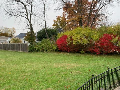 4562 Sycamore Rd, Cincinnati, OH 45236 photo 28