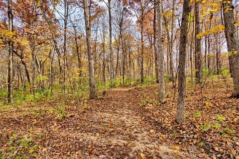 9148 Kunker Rd, Morrow, OH 45152 photo 10