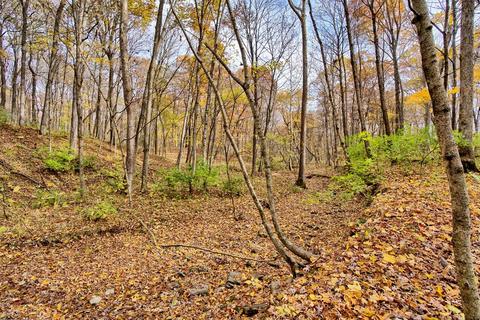 9148 Kunker Rd, Morrow, OH 45152 photo 12