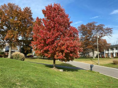 5398 Nighthawk Dr, Cincinnati, OH 45247 photo 19
