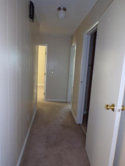 572 Dorgene Ln, Cincinnati, OH 45244 photo 12