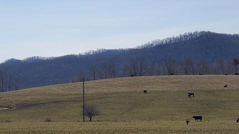 722 Carpenter Rd, Union Twp, OH 45652 photo 20