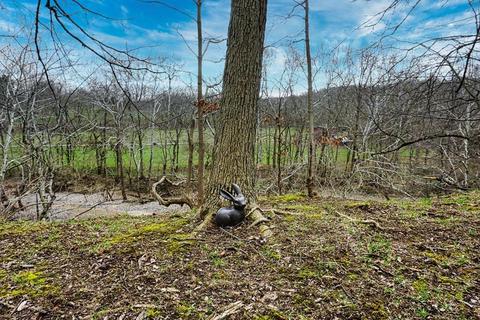 5646 Rivers Fork Dr, Morrow, OH 45152 photo 42