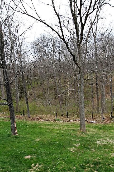 8046 Forest Rd, Cincinnati, OH 45255 photo 5