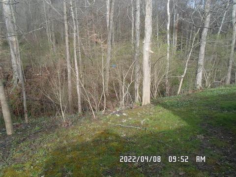 1127 Nature Run Rd, Batavia, OH 45103 photo 22