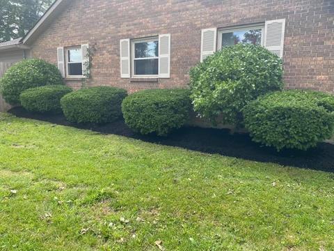 69 Leonard Dr, Blanchester, OH 45107 photo 19