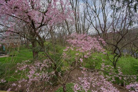 2975 Stanwin Pl, Evendale, OH 45241 photo 40