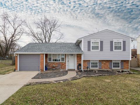 11261 Pippin Rd, Cincinnati, OH 45231 photo 3