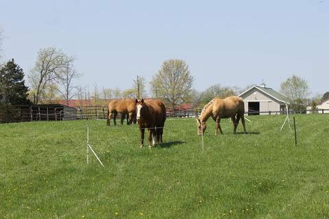 2771 Shawhan Rd, Morrow, OH 45152 photo 11