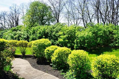 3334 Ravine Pl, Maineville, OH 45039 photo 27