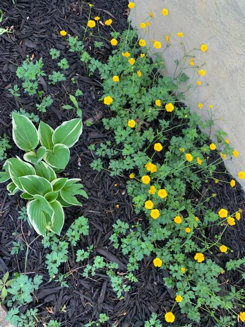6 Dayspring Ter, Greenhills, OH 45218 photo 50