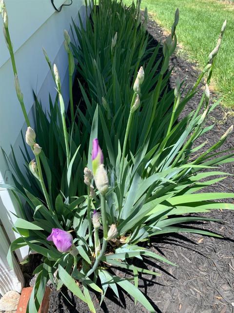 6 Dayspring Ter, Greenhills, OH 45218 photo 52