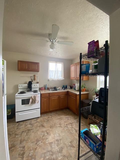 11 Chalmers Ln, Greenhills, OH 45218 photo 8