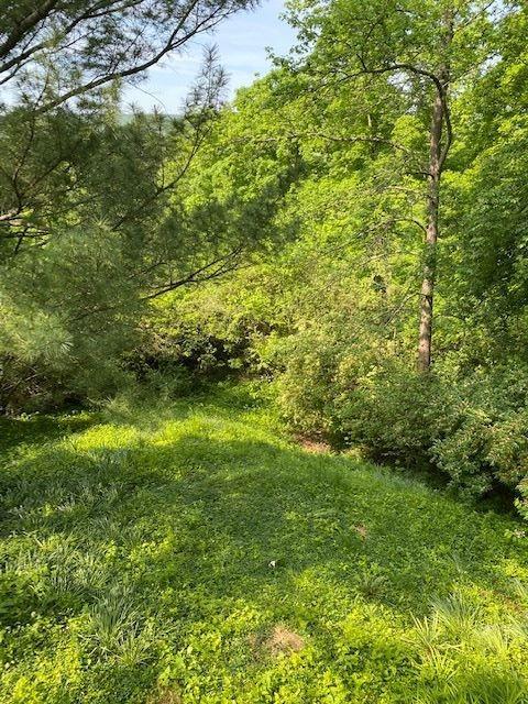 2970 Saddleback Dr, Cincinnati, OH 45244 photo 28