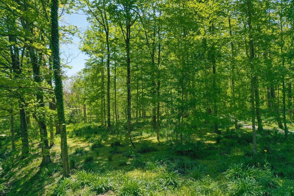  6000 Redbird Hollow Ln, Cincinnati, OH 45243 photo 58