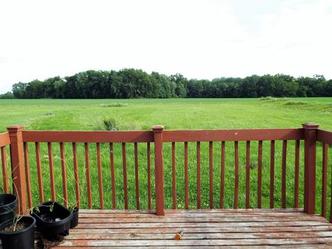 6126 Taylor Pike, Blanchester, OH 45107 photo 21