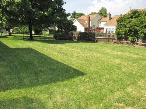 325 Parktrace Ct, Cincinnati, OH 45238 photo 52