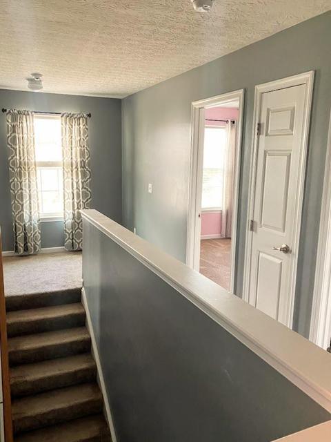 2703 Blackgold Ct, Morrow, OH 45152 photo 17