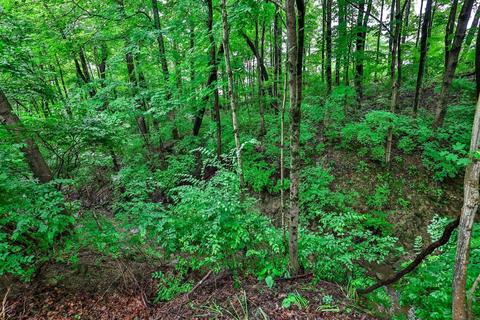 8689 Totempole Dr, Cincinnati, OH 45249 photo 43