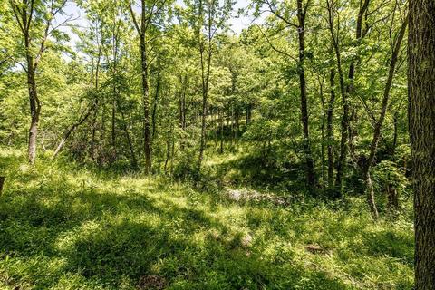 10976 Bond Rd, Whitewater Twp, OH 45030 photo 13