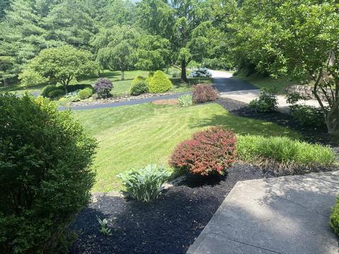 937 Locust Ln, Cincinnati, OH 45245 photo 4