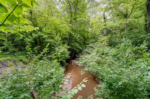 3790 Cain Run Rd, Batavia, OH 45103 photo 39