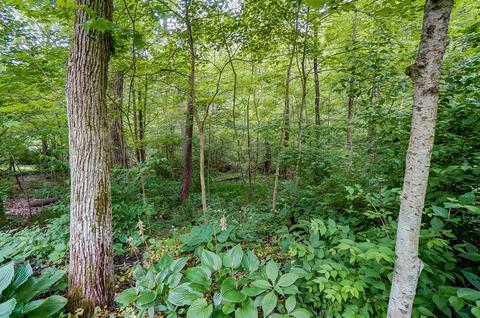 3790 Cain Run Rd, Batavia, OH 45103 photo 40