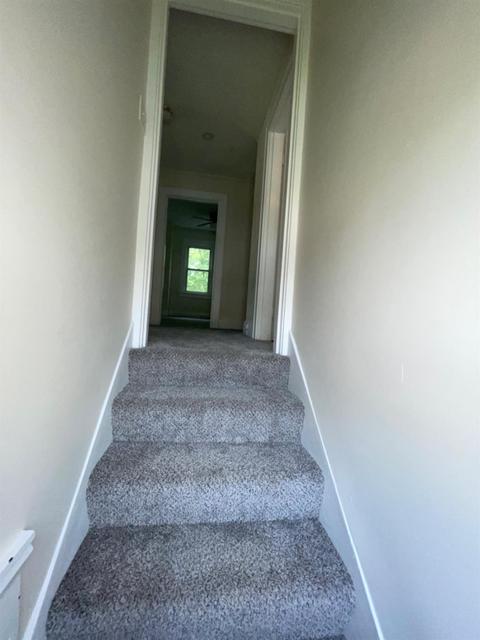 103 Forest Ave, Cincinnati, OH 45220 photo 5