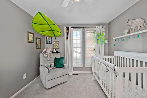 3691 Spring Mill Way, Maineville, OH 45039 photo 19